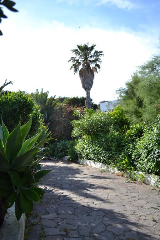 Schicciolina Villa Stromboli Bagian luar foto